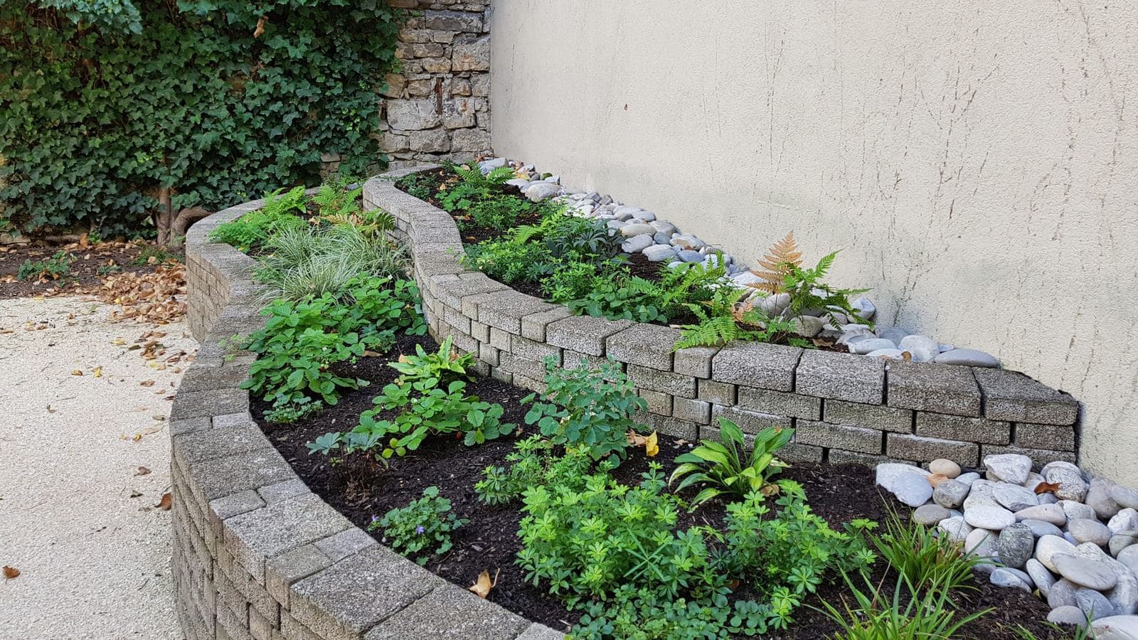 Geschwungenes Beet mit Natursteinmauer und frischer Bepflanzung