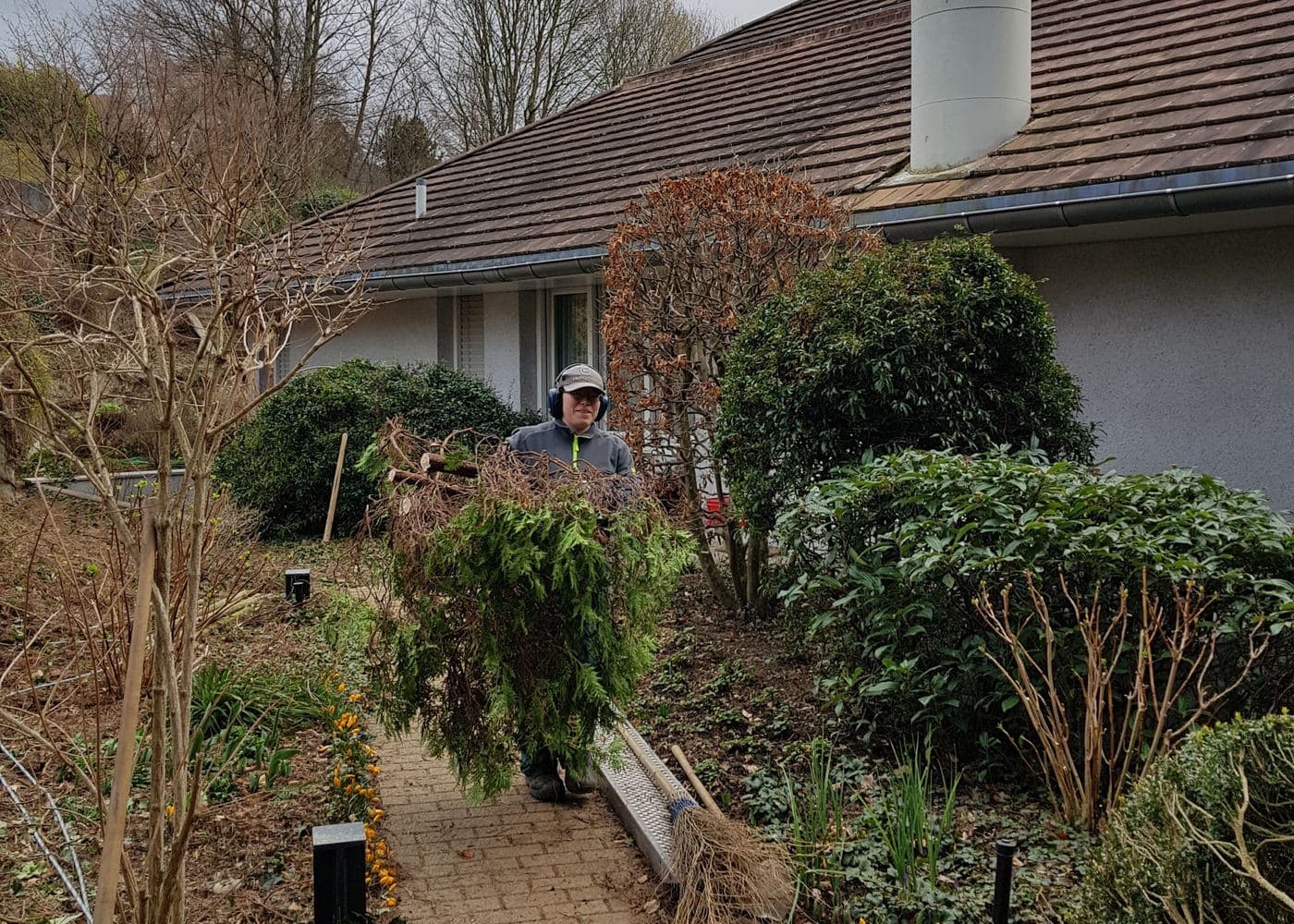 Gärtner schneidet Sträucher vor einem Einfamilienhaus