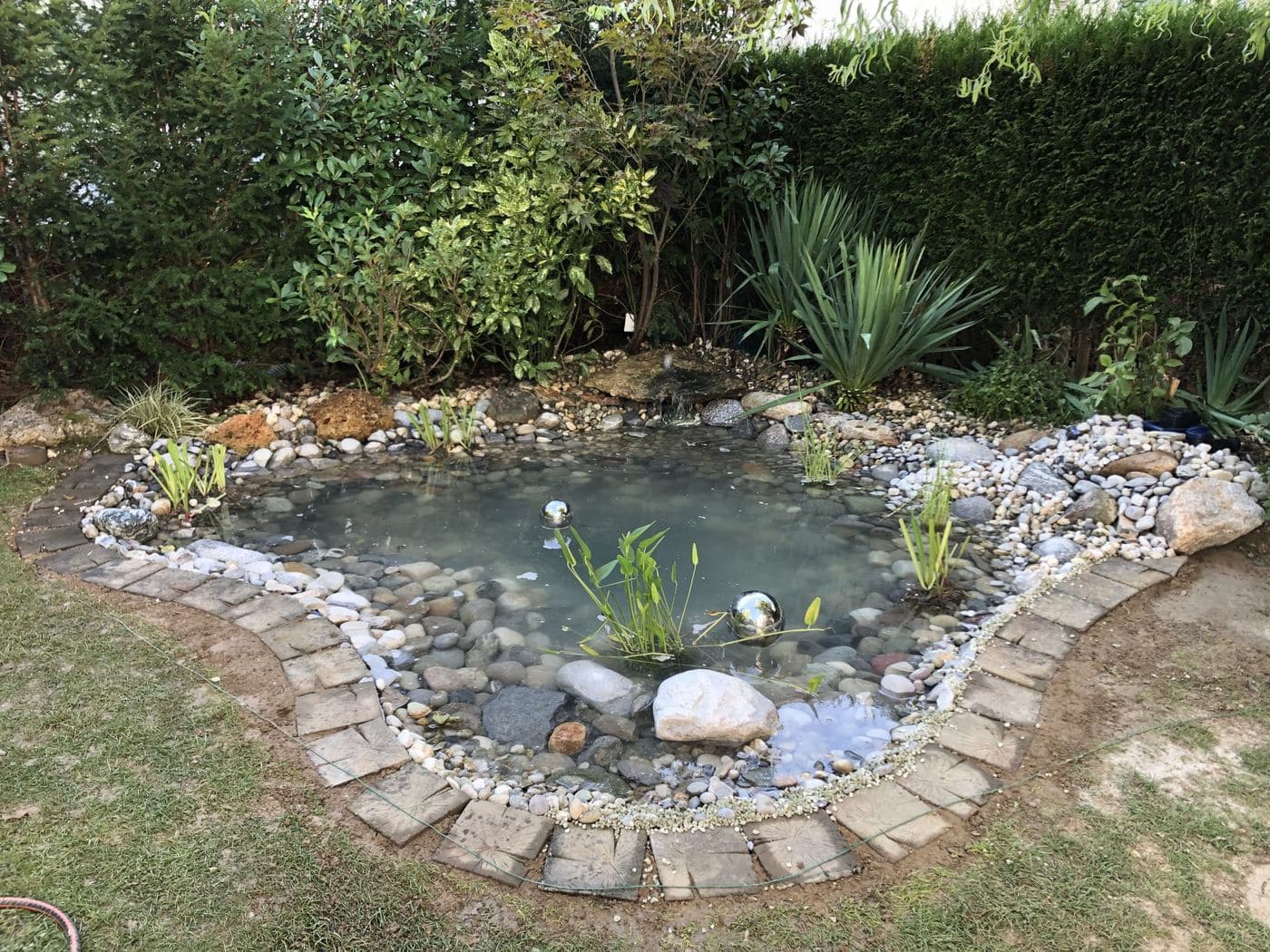 Naturteich mit Kieselufer und Wasserpflanzen